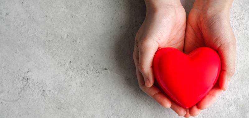 10 Suplemen untuk Kolesterol Tinggi Terbaik